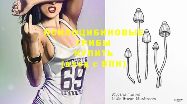 гашишное масло Гусь-Хрустальный