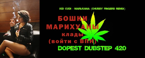 гидра Дмитров