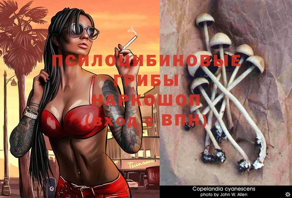 гидра Дмитров