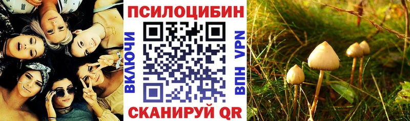 Галлюциногенные грибы Cubensis  где купить   Томск 