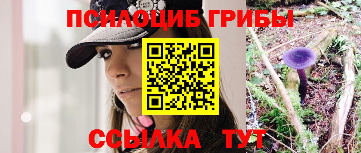 Псилоцибиновые грибы GOLDEN TEACHER  Псилоцибиновые грибы прущие грибы  Томск  Вход с VPN 